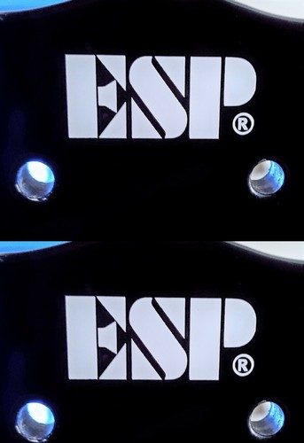Esp guitar headstock logo - guitar,